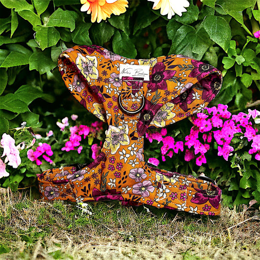 Chest Harness Orange Floral