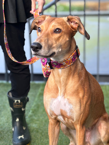 Orange Floral Hands-free Dog Leash