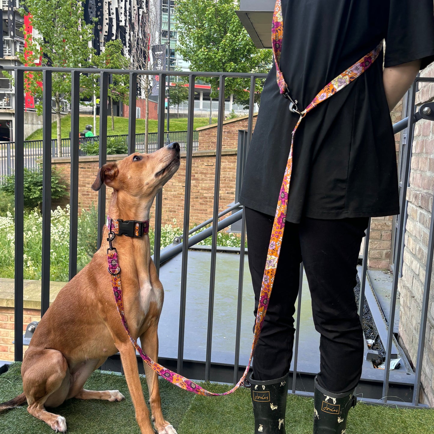 Orange Floral Hands-free Dog Leash