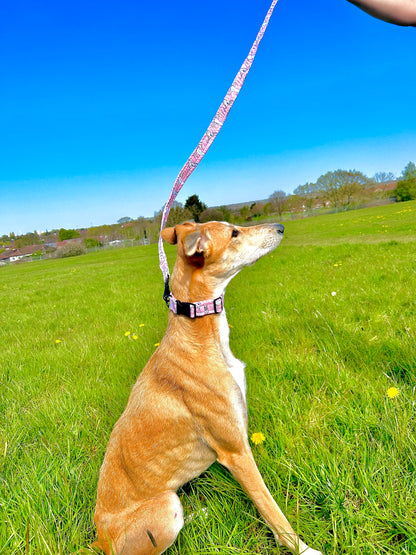 OG Pink Dog Collar - 1 Inch