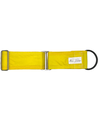 Yellow Waterproof Martingale Collar - 2 Inch