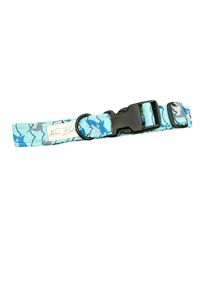 Sassy Shark Dog collar - 1 Inch