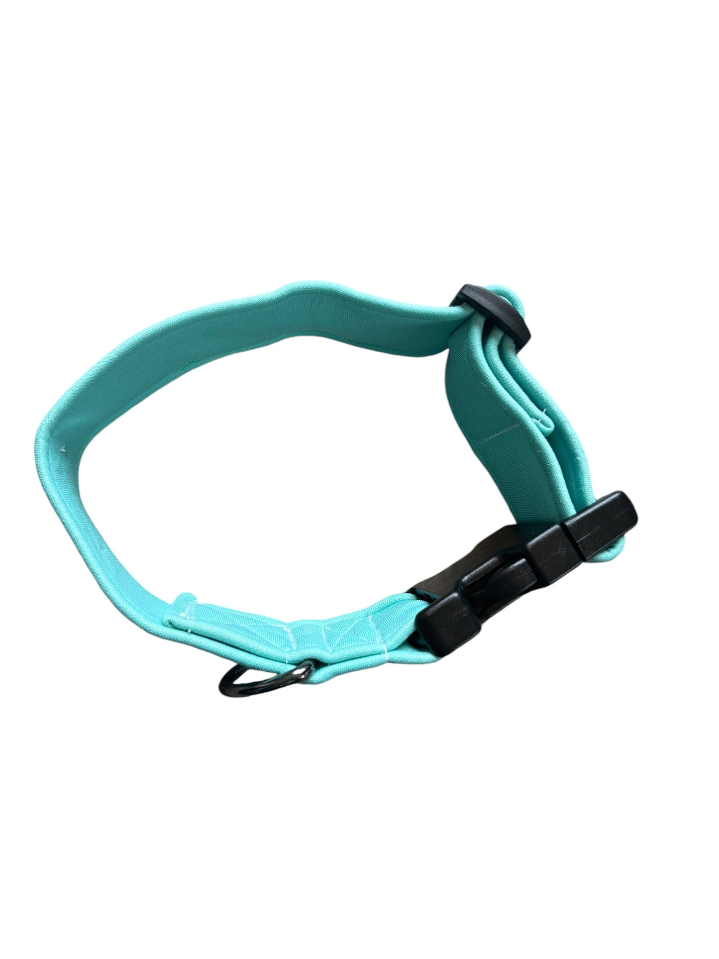 Mint Scuba 1.5 inch Collar