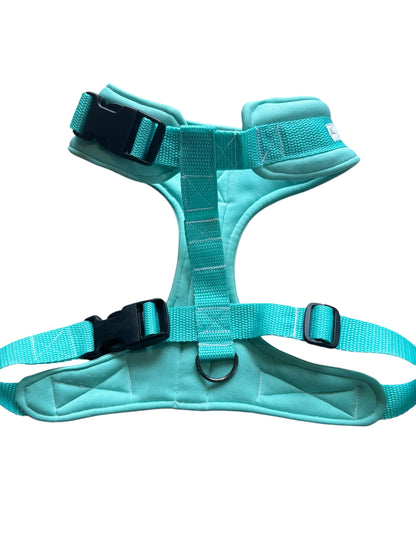 Mint Scuba Chest Harness