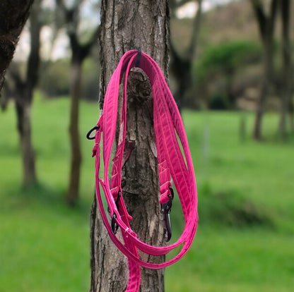 Luxury Waterproof Hands Free Dog Lead